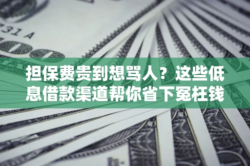 武汉担保费贵到想骂人？这些低息借款渠道帮你省下冤枉钱