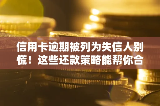 武汉信用卡逾期被列为失信人别慌！这些还款策略能帮你合法止损