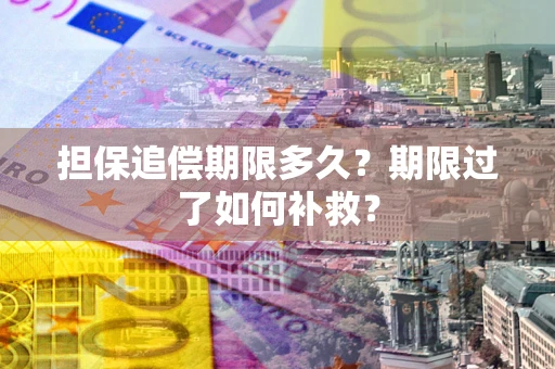 武汉担保追偿期限多久？期限过了如何补救？