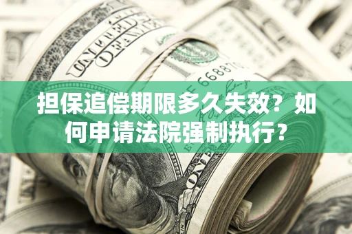 武汉担保追偿期限多久失效？如何申请法院强制执行？
