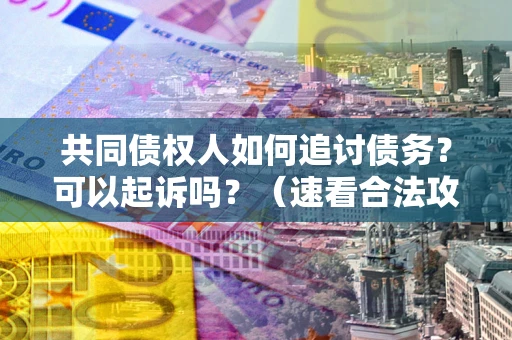 武汉共同债权人如何追讨债务？可以起诉吗？（速看合法攻略）