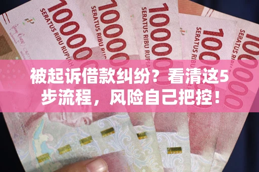 武汉被起诉借款纠纷？看清这5步流程，风险自己把控！