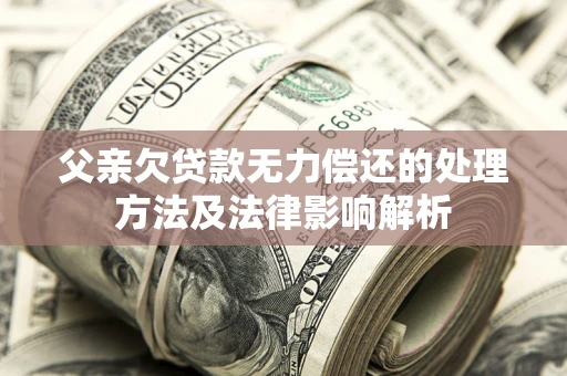 武汉父亲欠贷款无力偿还的处理方法及法律影响解析