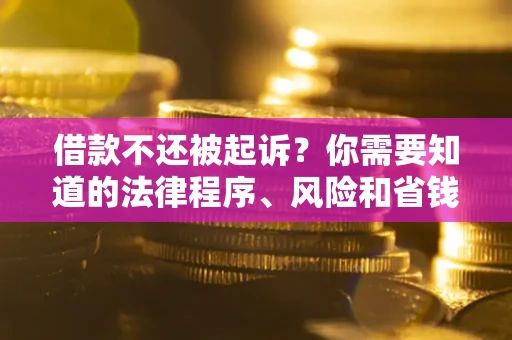 武汉借款不还被起诉？你需要知道的法律程序、风险和省钱技巧